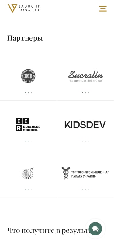 Дизайн landing page Laduchi Consult блок с партнерами