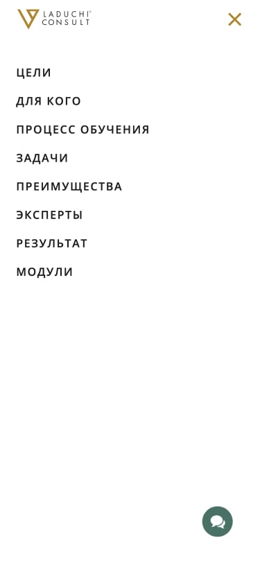 Дизайн landing page Laduchi Consult -мобильная версия меню