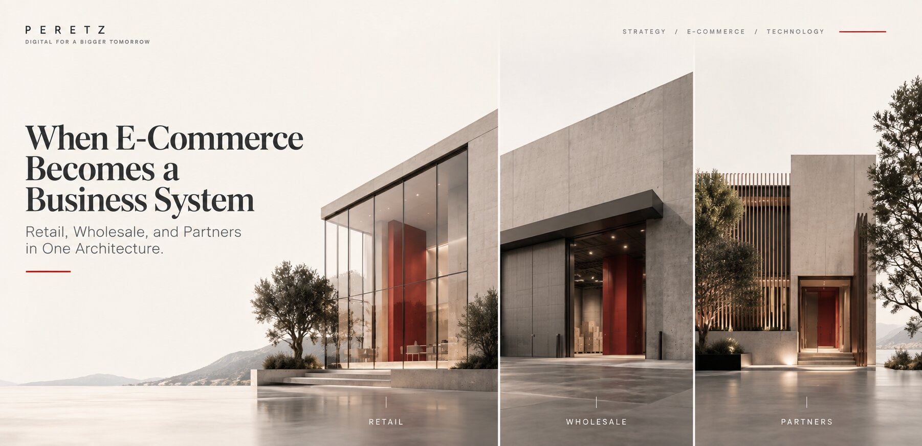When E-Commerce Becomes a Business System